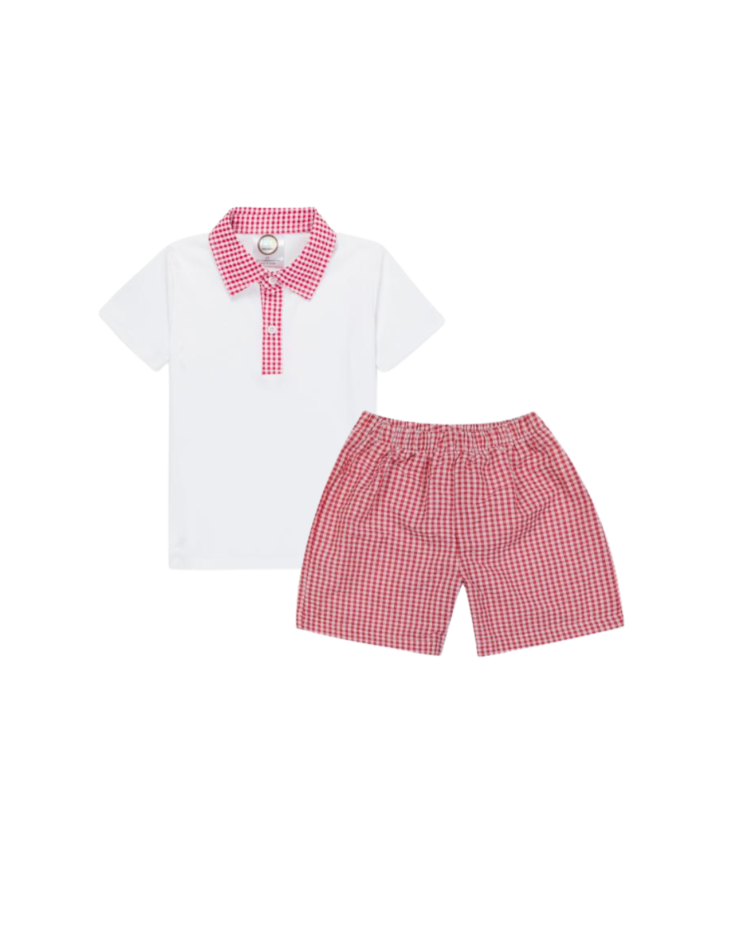 Boy’s Gingham Polo Shirt and Shorts Set